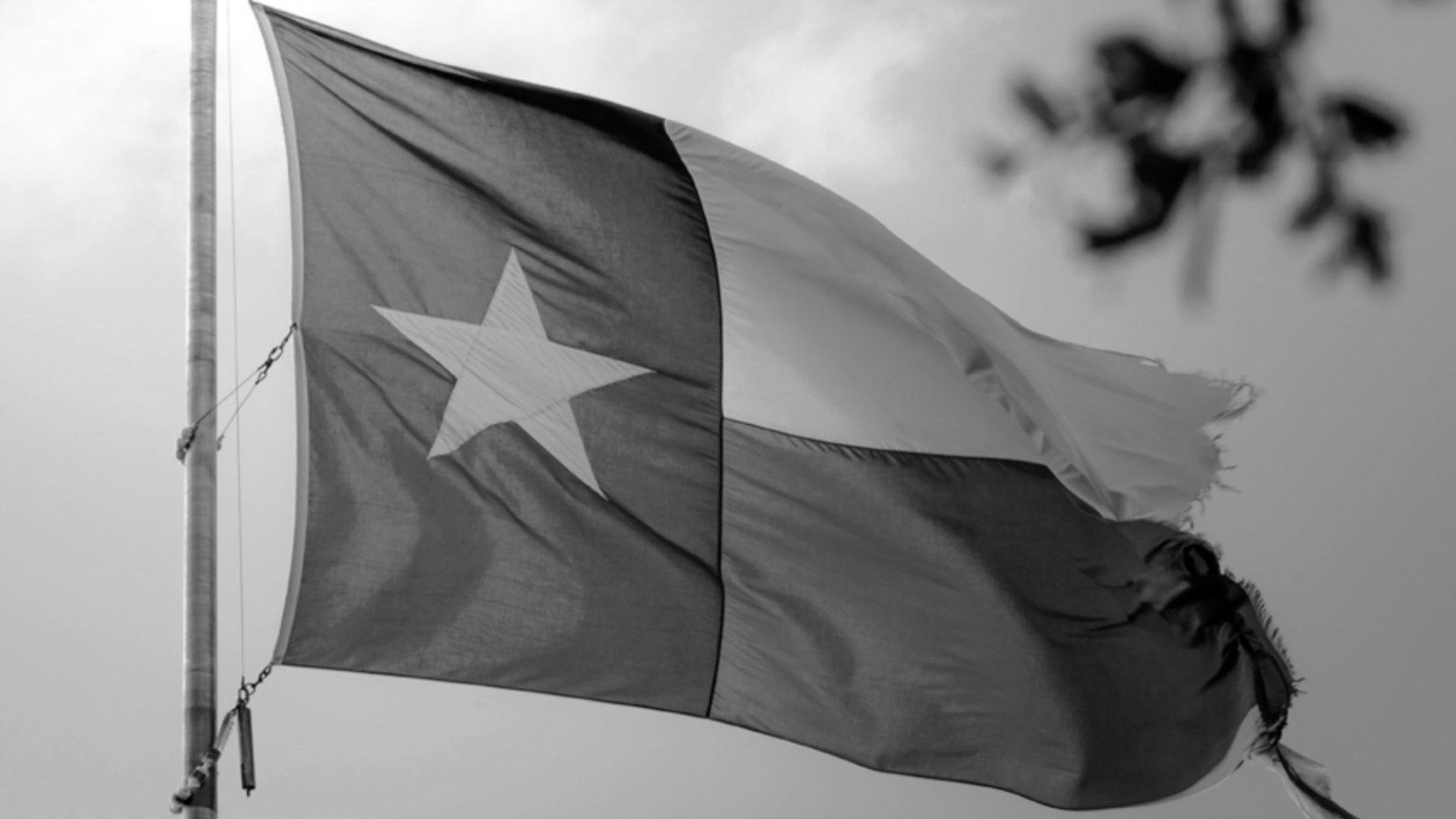 Torn Texas flag. DEI in Texas after education reform bill.